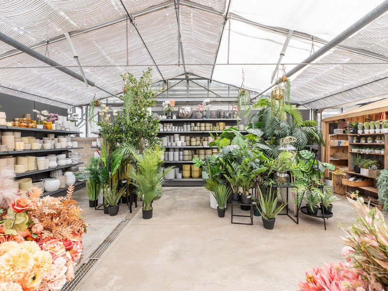 Cretti Egidio | Decorazione