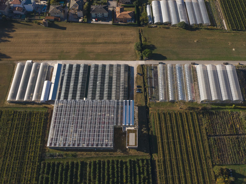 Cretti Egidio | Floricoltura