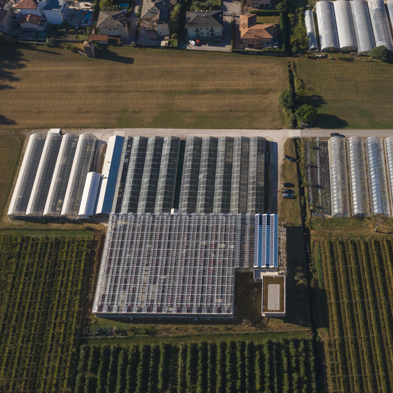 Cretti Egidio | Floricoltura