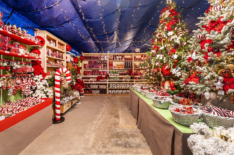 Cretti Egidio | Cretti Garden Center: da oltre 60 anni le serre della famiglia Cretti ospitano piante di ogni genere e stagione.