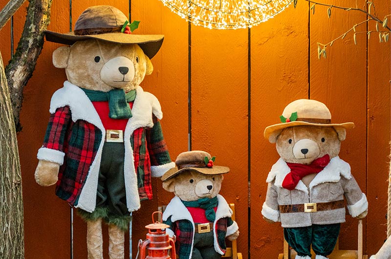 Cretti Egidio | Cretti Garden Center: da oltre 60 anni le serre della famiglia Cretti ospitano piante di ogni genere e stagione.