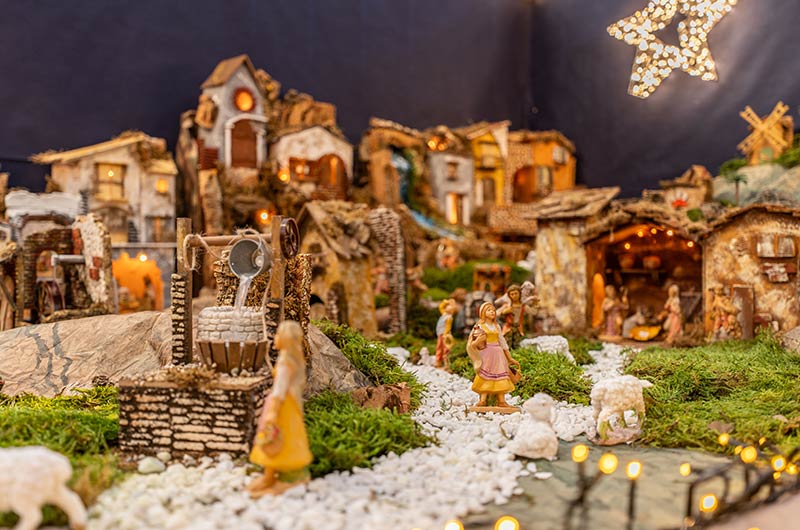 Cretti Egidio | Cretti Garden Center: da oltre 60 anni le serre della famiglia Cretti ospitano piante di ogni genere e stagione.