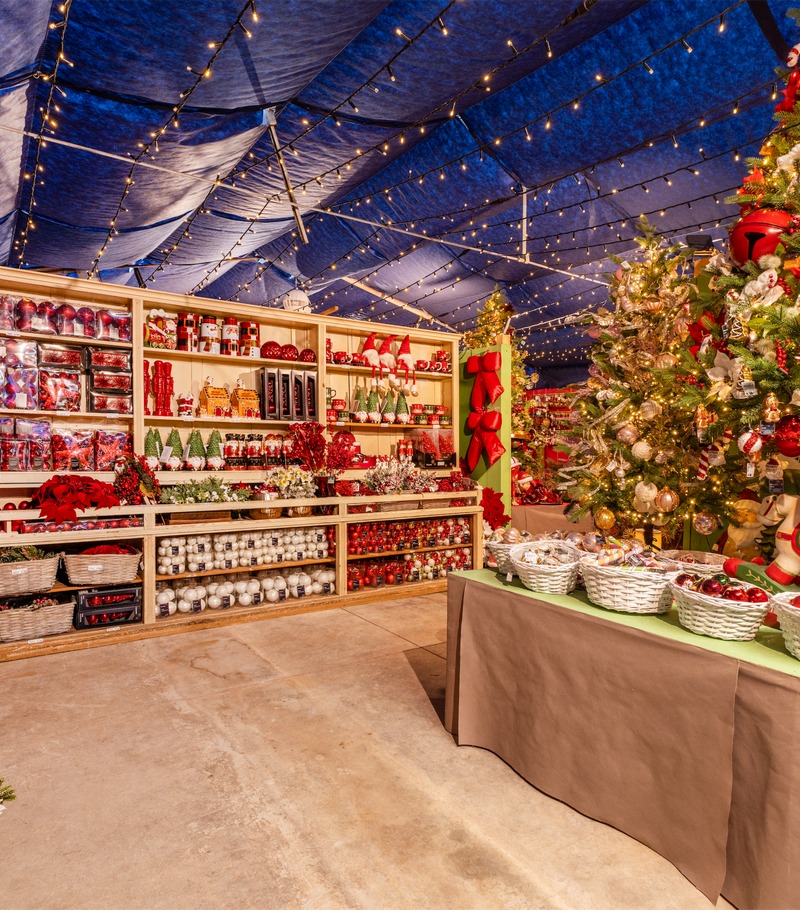 Cretti Egidio | Cretti Garden Center: da oltre 60 anni le serre della famiglia Cretti ospitano piante di ogni genere e stagione.