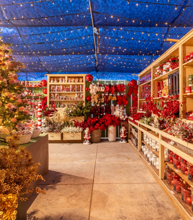 Cretti Egidio | Cretti Garden Center: da oltre 60 anni le serre della famiglia Cretti ospitano piante di ogni genere e stagione.