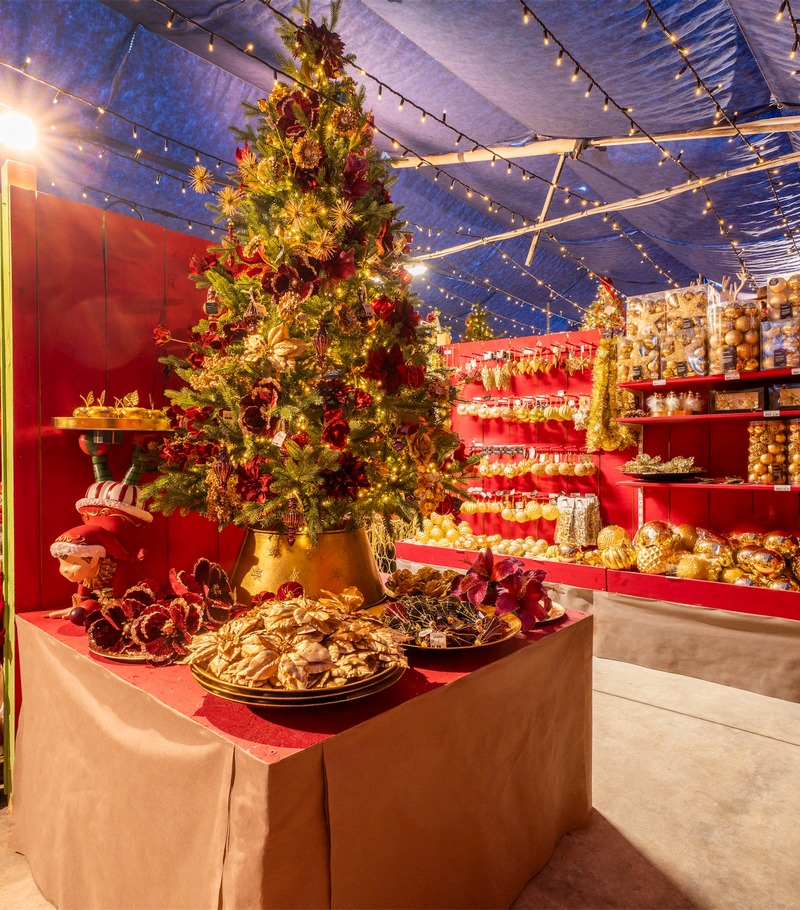 Cretti Egidio | Cretti Garden Center: da oltre 60 anni le serre della famiglia Cretti ospitano piante di ogni genere e stagione.