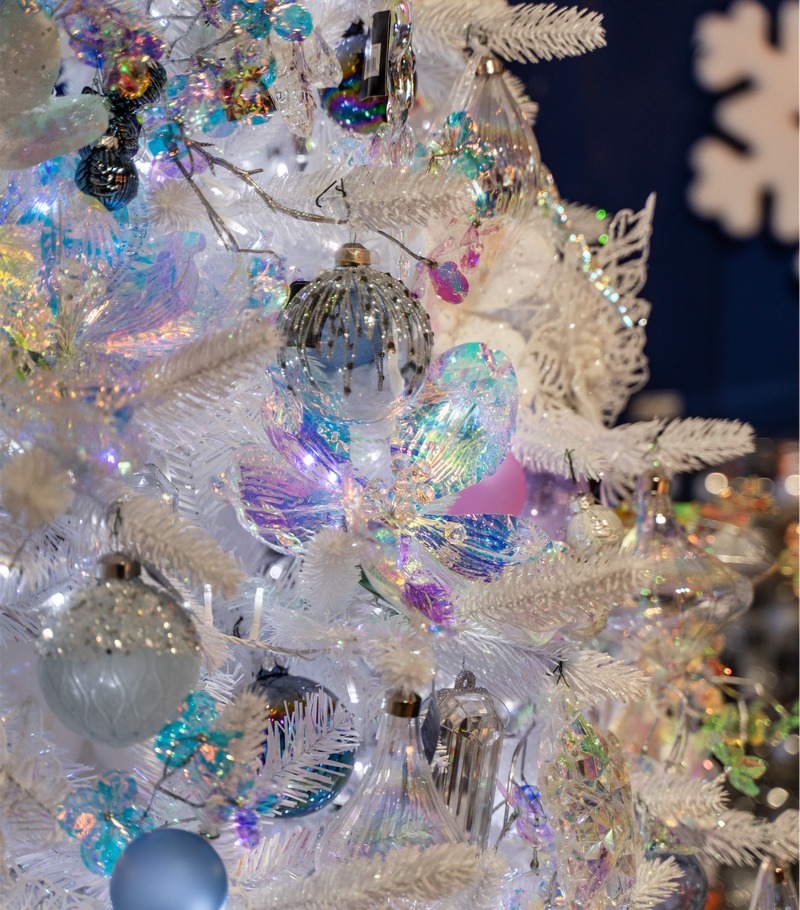 Cretti Egidio | Cretti Garden Center: da oltre 60 anni le serre della famiglia Cretti ospitano piante di ogni genere e stagione.