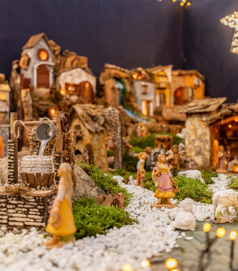 Cretti Egidio | Cretti Garden Center: da oltre 60 anni le serre della famiglia Cretti ospitano piante di ogni genere e stagione.