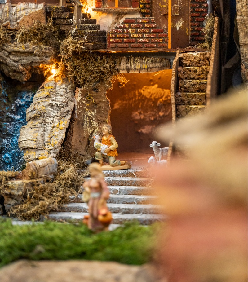 Cretti Egidio | Cretti Garden Center: da oltre 60 anni le serre della famiglia Cretti ospitano piante di ogni genere e stagione.