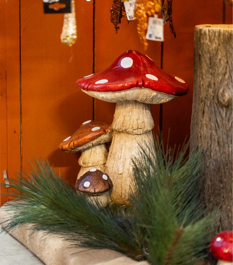 Cretti Egidio | Cretti Garden Center: da oltre 60 anni le serre della famiglia Cretti ospitano piante di ogni genere e stagione.