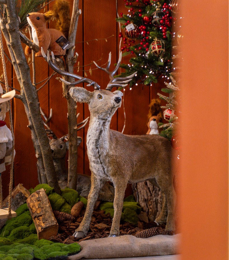 Cretti Egidio | Cretti Garden Center: da oltre 60 anni le serre della famiglia Cretti ospitano piante di ogni genere e stagione.