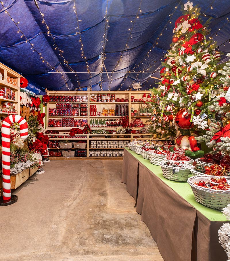 Cretti Egidio | Cretti Garden Center: da oltre 60 anni le serre della famiglia Cretti ospitano piante di ogni genere e stagione.