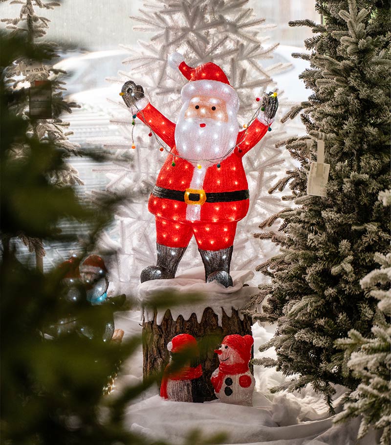 Cretti Egidio | Cretti Garden Center: da oltre 60 anni le serre della famiglia Cretti ospitano piante di ogni genere e stagione.