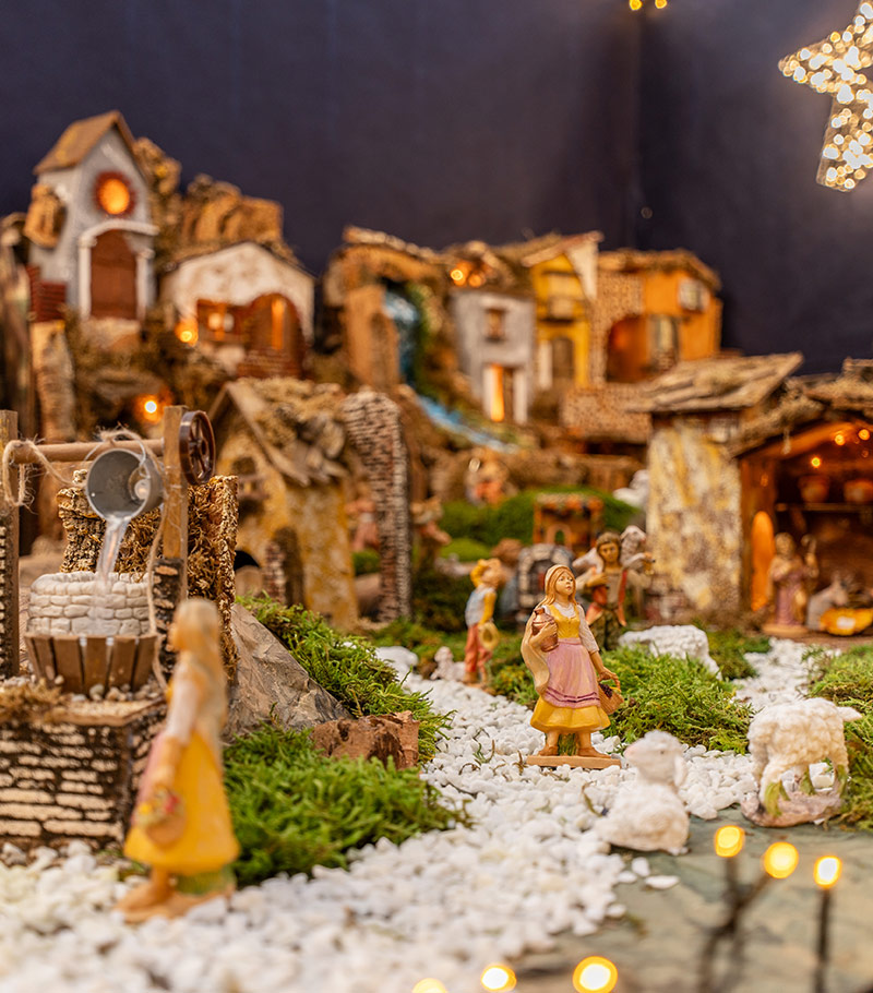 Cretti Egidio | Cretti Garden Center: da oltre 60 anni le serre della famiglia Cretti ospitano piante di ogni genere e stagione.