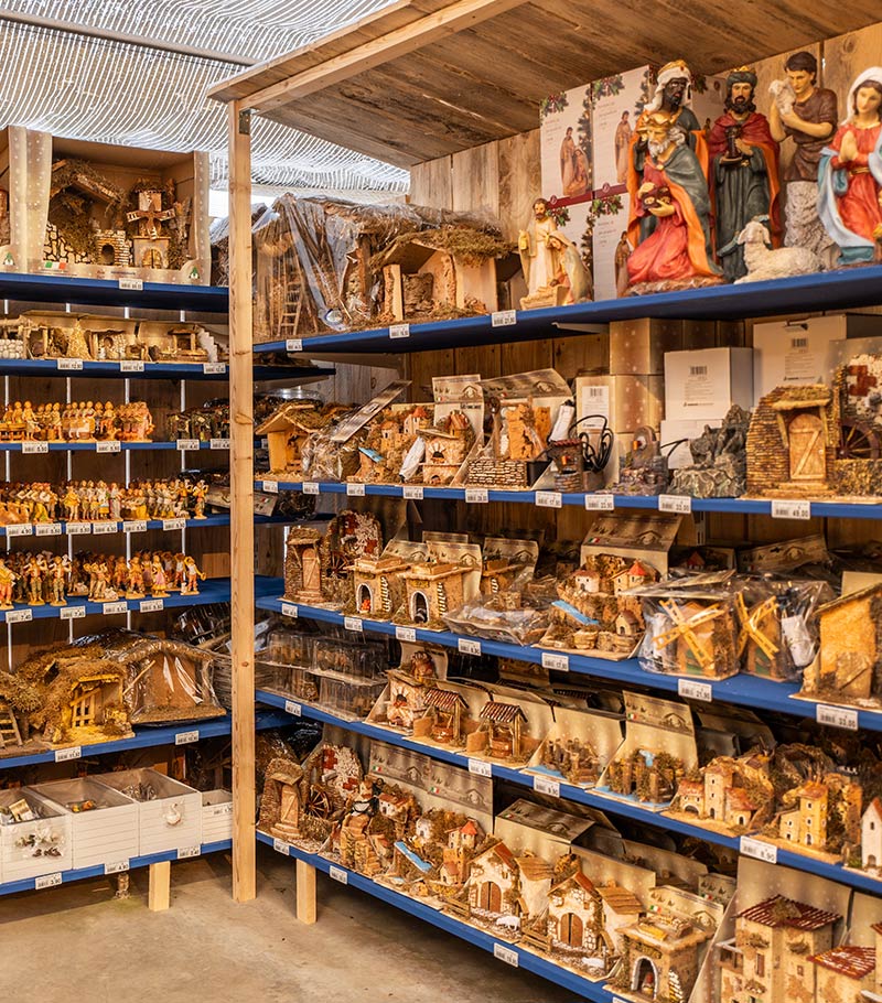 Cretti Egidio | Cretti Garden Center: da oltre 60 anni le serre della famiglia Cretti ospitano piante di ogni genere e stagione.