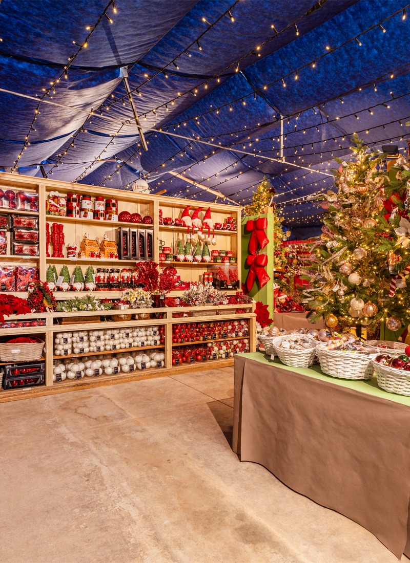 Cretti Egidio | Natale