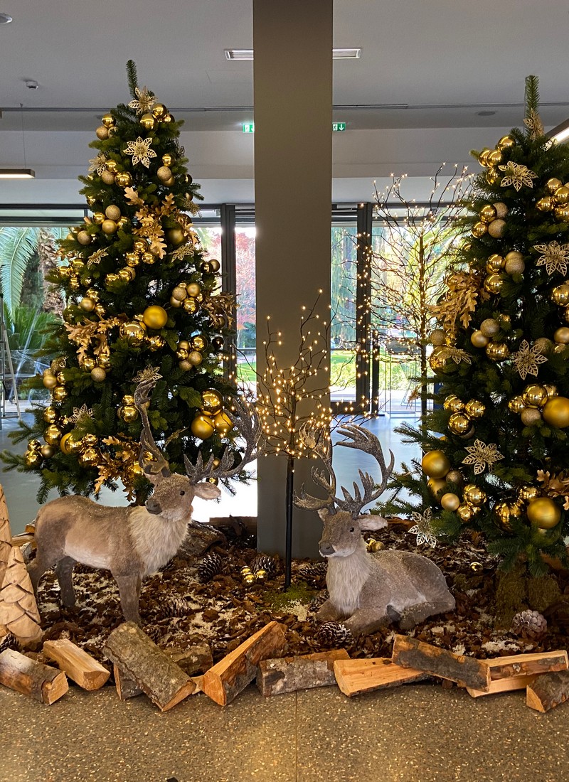 Cretti Egidio | Natale