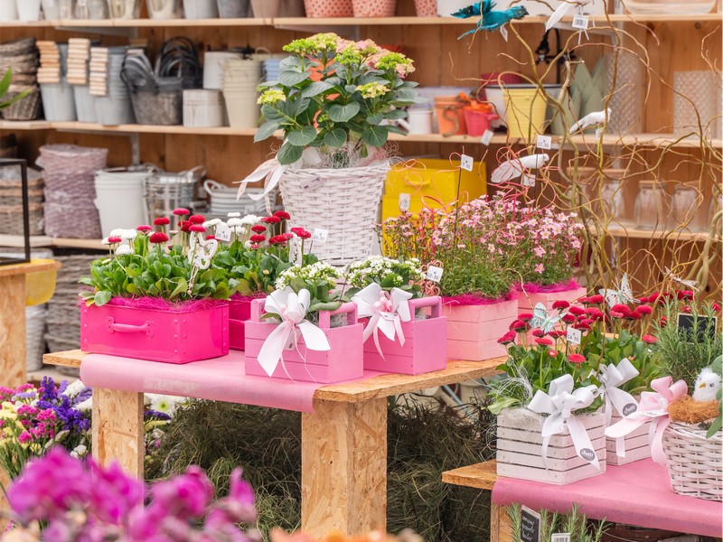 Cretti Egidio | Piante da interno