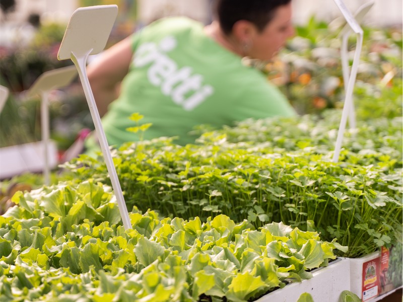 Cretti Egidio | Piante da esterno e vivaio