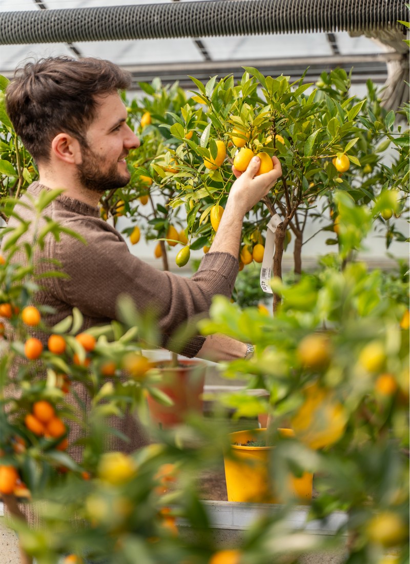 Cretti Egidio | Piante da esterno e vivaio