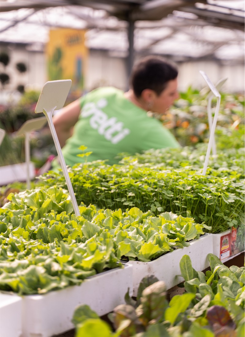 Cretti Egidio | Piante da esterno e vivaio