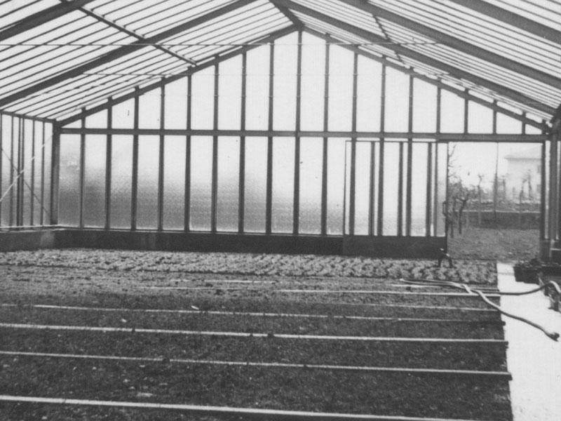 Cretti Egidio | Storia