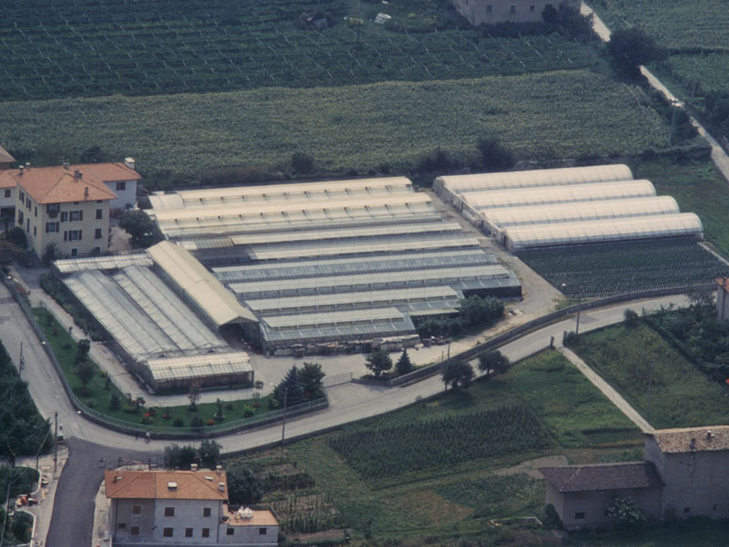 Cretti Egidio | Storia