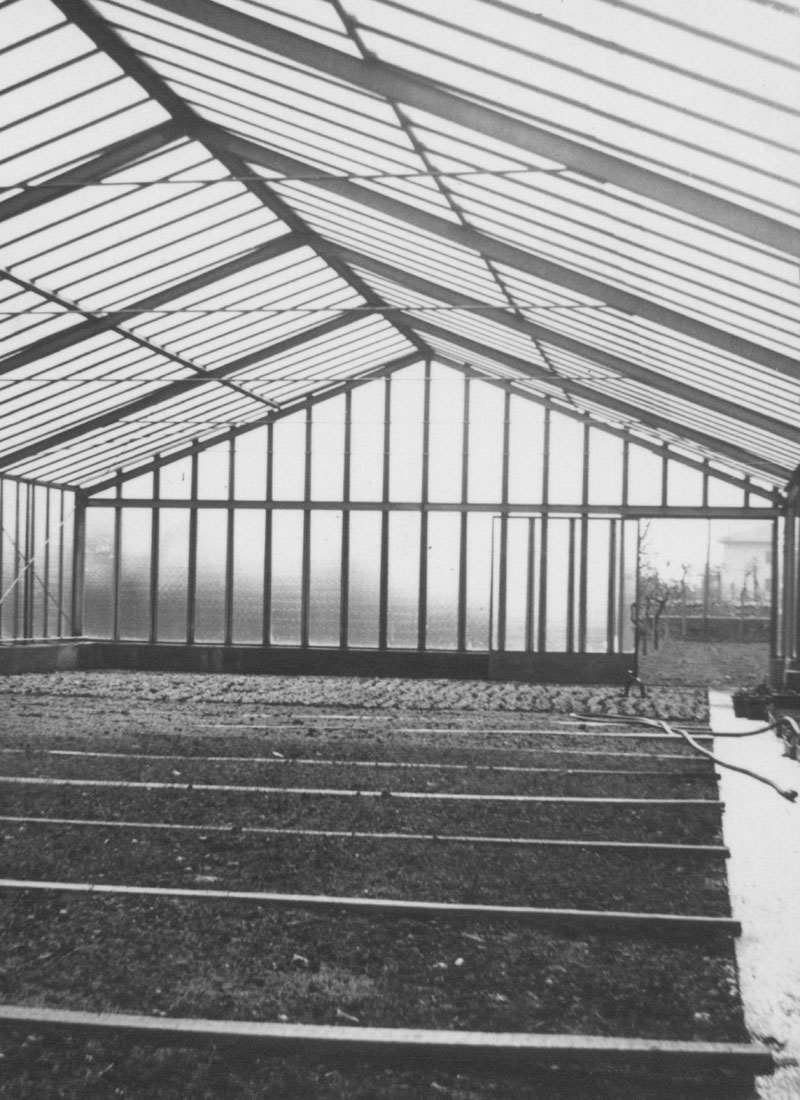 Cretti Egidio | Storia