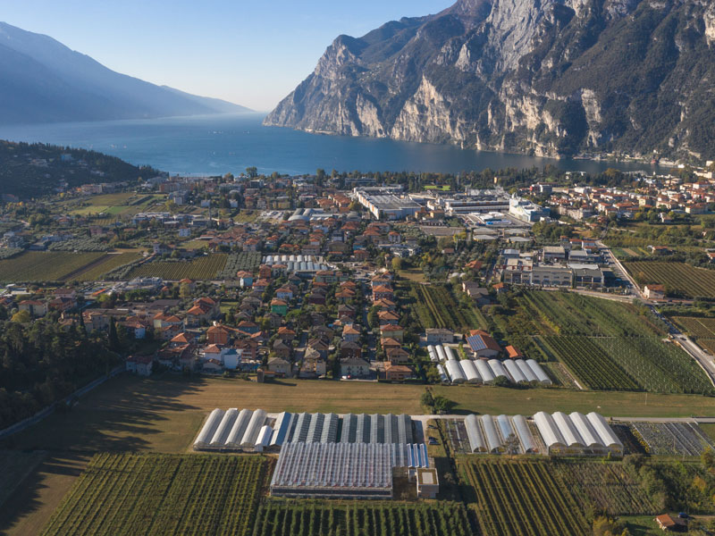 Cretti Garden Center: da oltre 60 anni le serre della famiglia Cretti ospitano piante di ogni genere e stagione. Cretti Egidio | Allestimenti