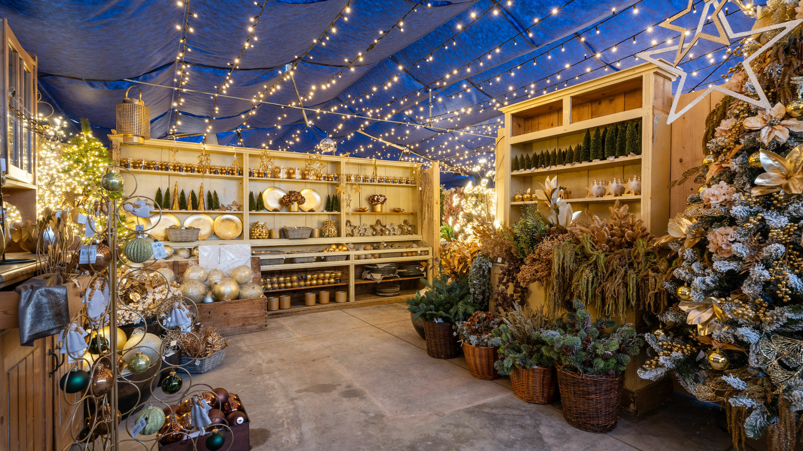 Cretti Garden Center: da oltre 60 anni le serre della famiglia Cretti ospitano piante di ogni genere e stagione. Cretti Egidio | Natale