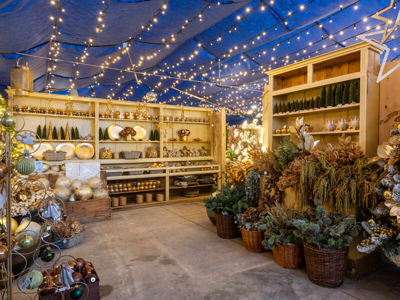 Cretti Garden Center: da oltre 60 anni le serre della famiglia Cretti ospitano piante di ogni genere e stagione. Cretti Egidio | Natale