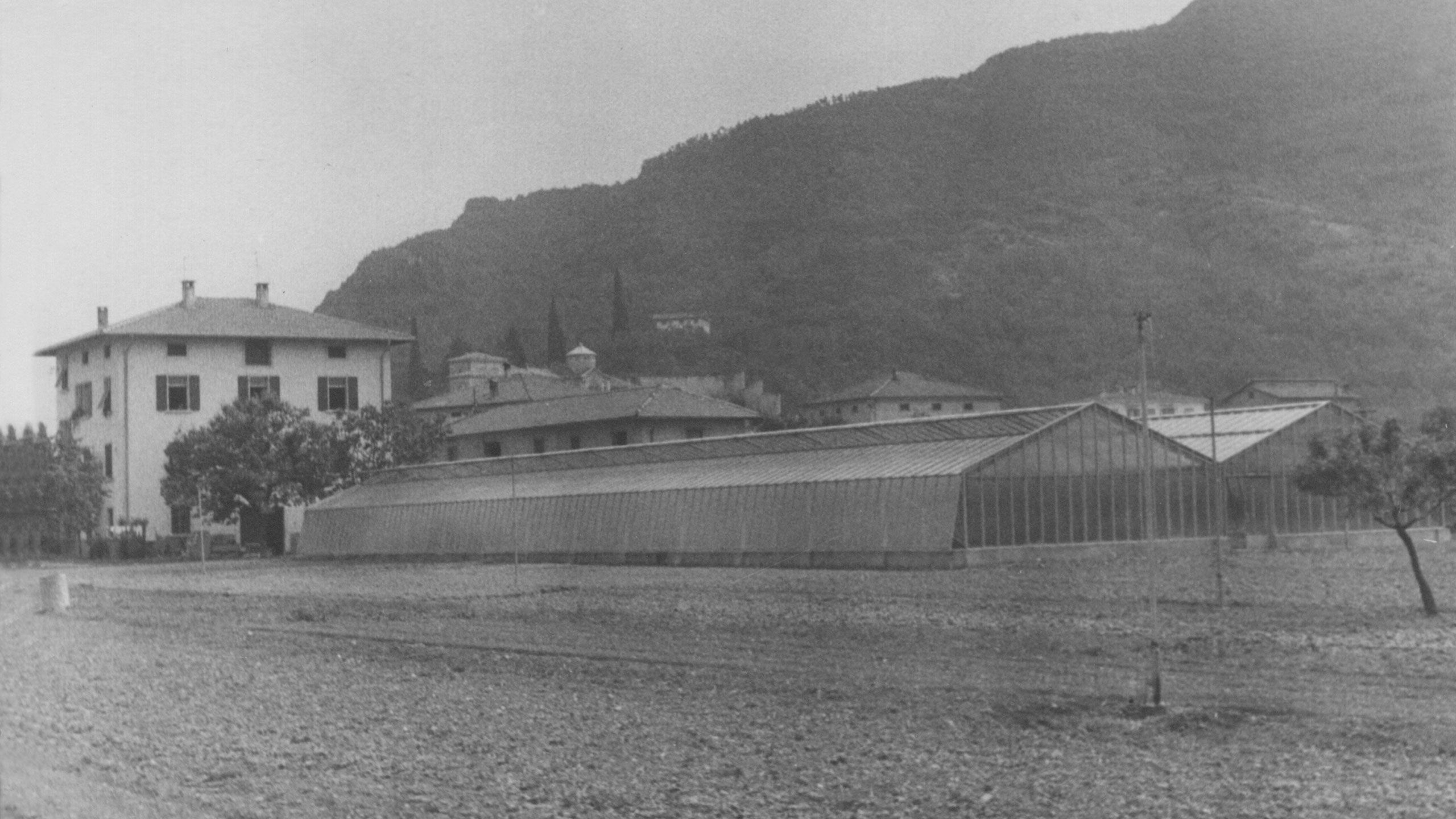 Cretti Garden Center: da oltre 60 anni le serre della famiglia Cretti ospitano piante di ogni genere e stagione. Cretti Egidio | Storia