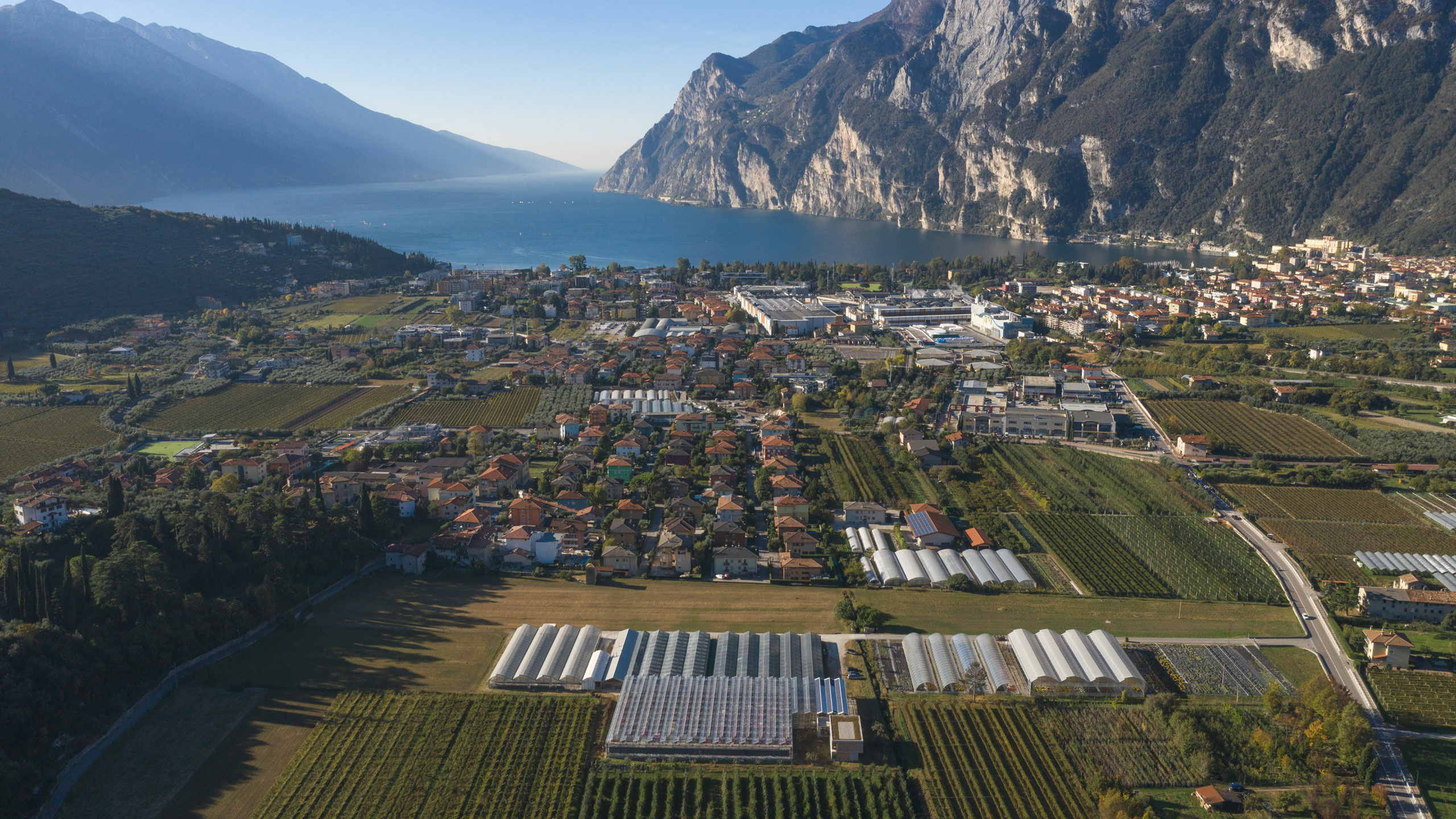 Cretti Garden Center: da oltre 60 anni le serre della famiglia Cretti ospitano piante di ogni genere e stagione. Cretti Egidio | Contributi pubblici