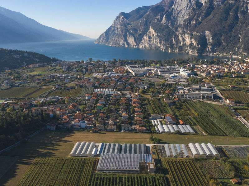 Cretti Garden Center: da oltre 60 anni le serre della famiglia Cretti ospitano piante di ogni genere e stagione. Cretti Egidio | Contributi pubblici