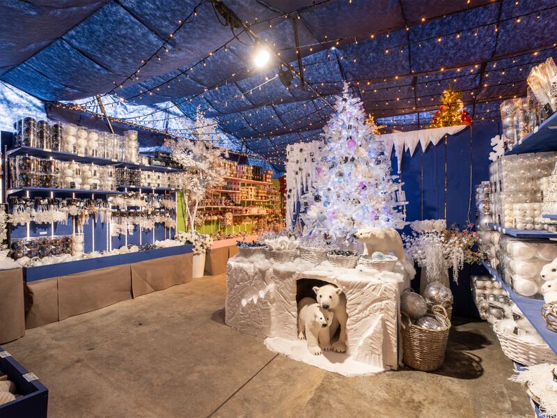 Cretti Garden Center: da oltre 60 anni le serre della famiglia Cretti ospitano piante di ogni genere e stagione. Cretti Egidio | Natale