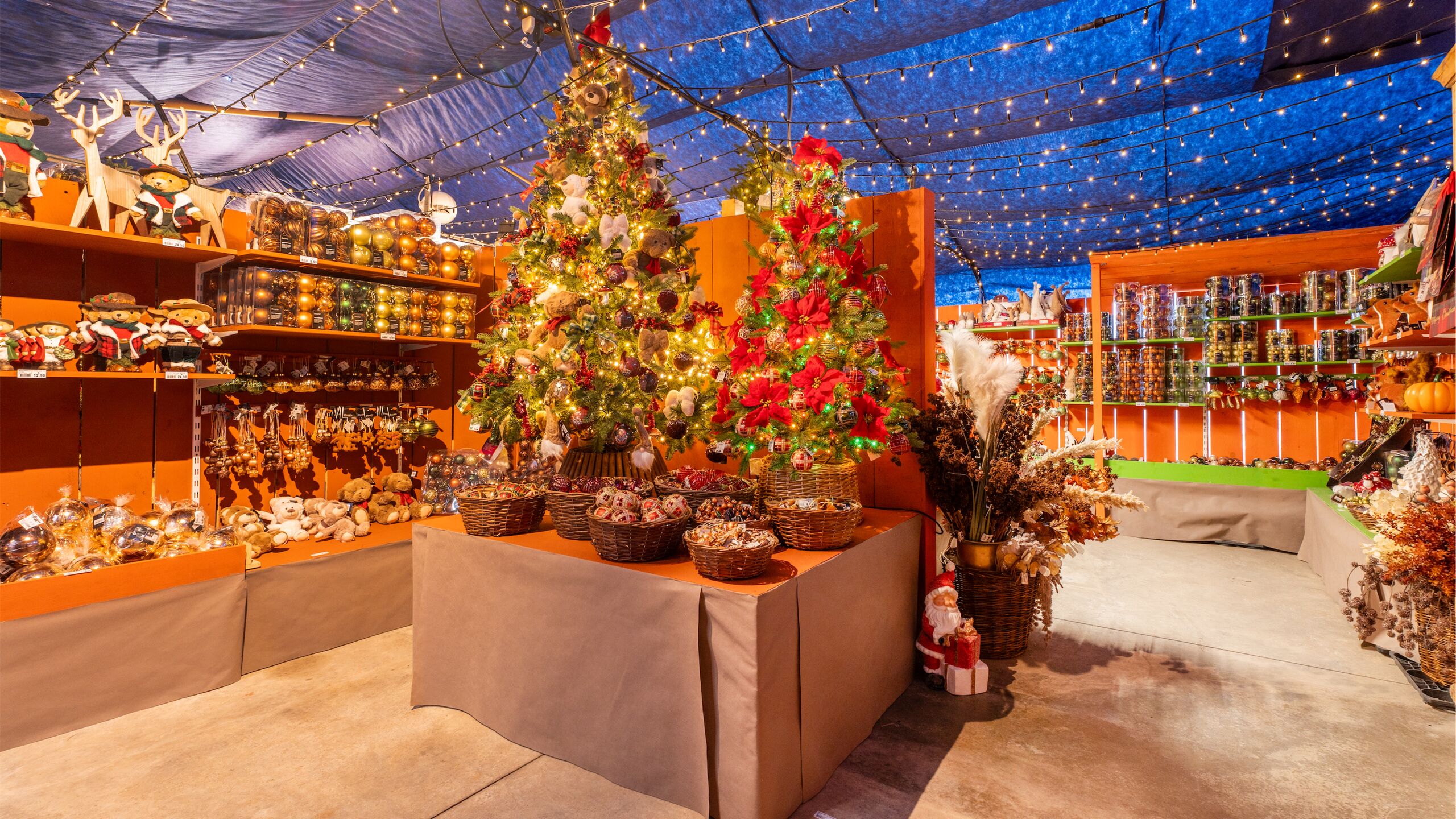 Alla scoperta <br />del Villaggio di Natale - Scopri l'allestimento