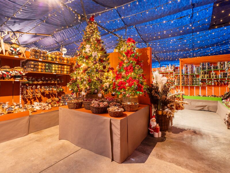 Alla scoperta <br />del Villaggio di Natale - Scopri l'allestimento